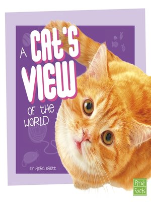 A Cat's View of the World - ebook